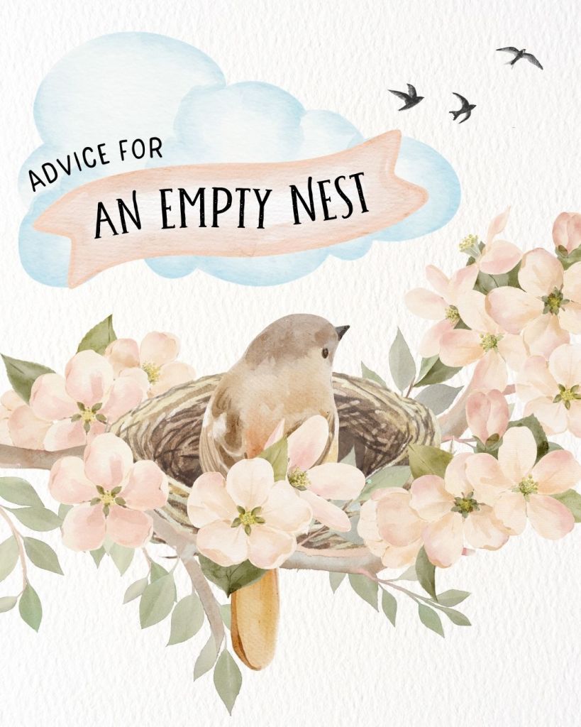 A mother bird sits in her empty nest amidst apple blossoms, watching birds and clouds fly by